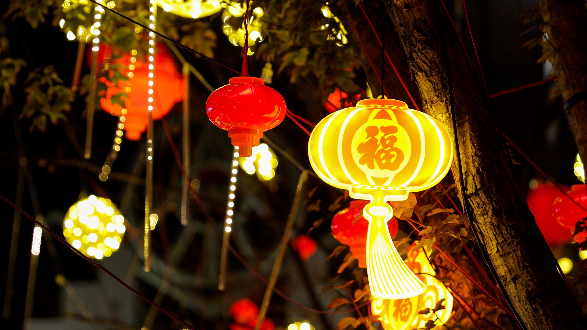 1708238097173160.jpg 1708238097173160.jpg